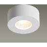 Накладной светильник ODEON LIGHT BENE 4282/7СL 4282/7 CL