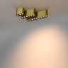 Накладной светильник ODEON LIGHT SMALL 7093/8CL